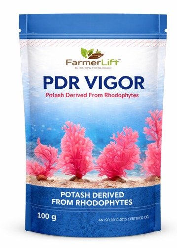 PDR Vigor