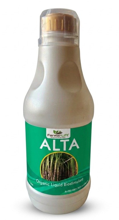 Alta