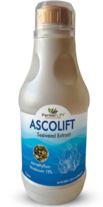 AscoLift